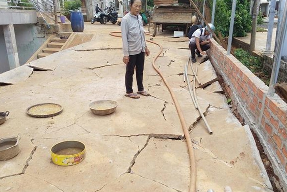 Thông tin từ đường dây nóng